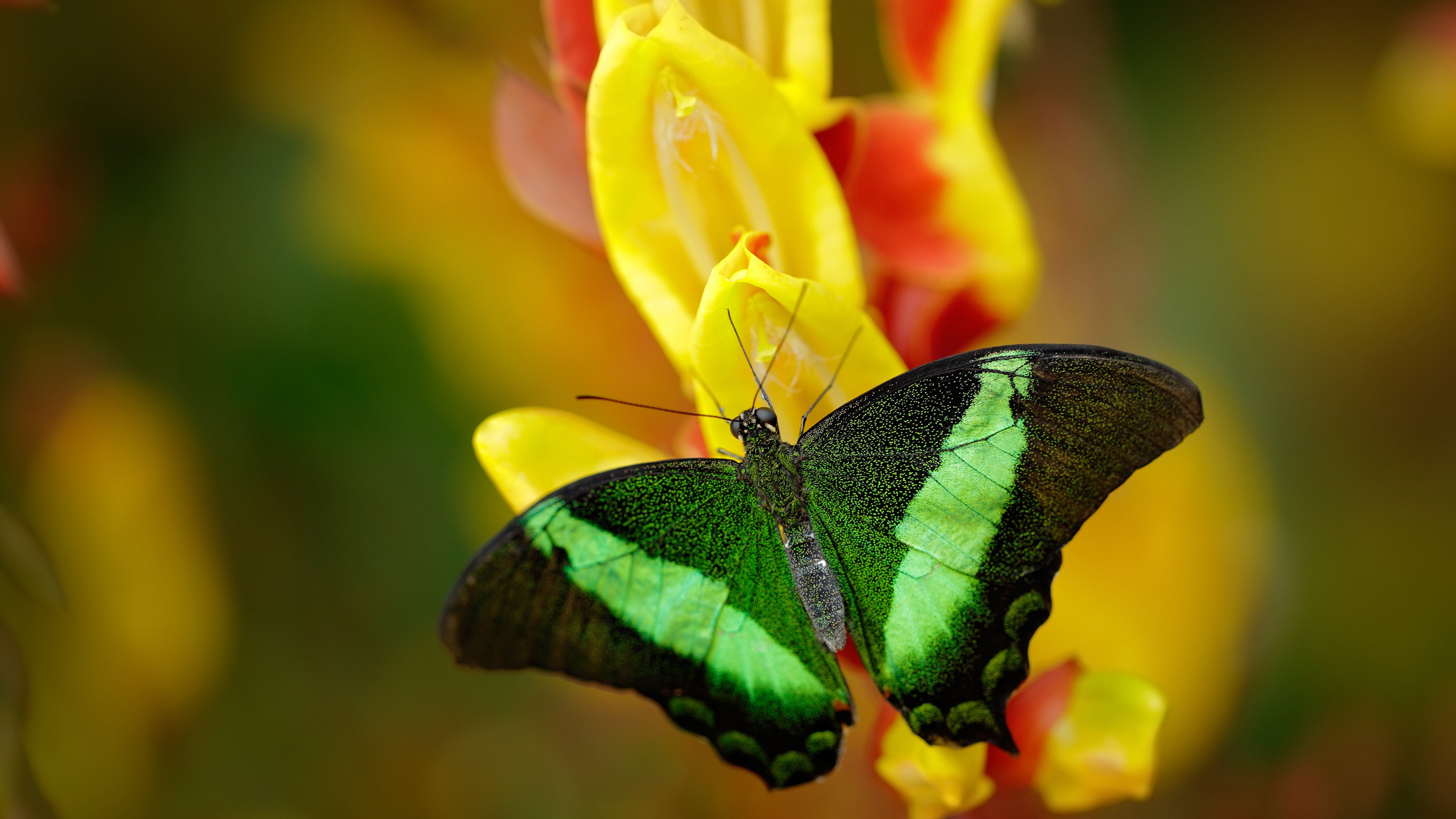 持续推进足球场馆智能化与信息化建设，持续推进足球场馆智能化与信息化建设的意义