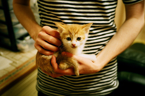 爱游戏官方-_顶级巡回赛：积分争夺战引发疯狂追逐_，巡回赛规则