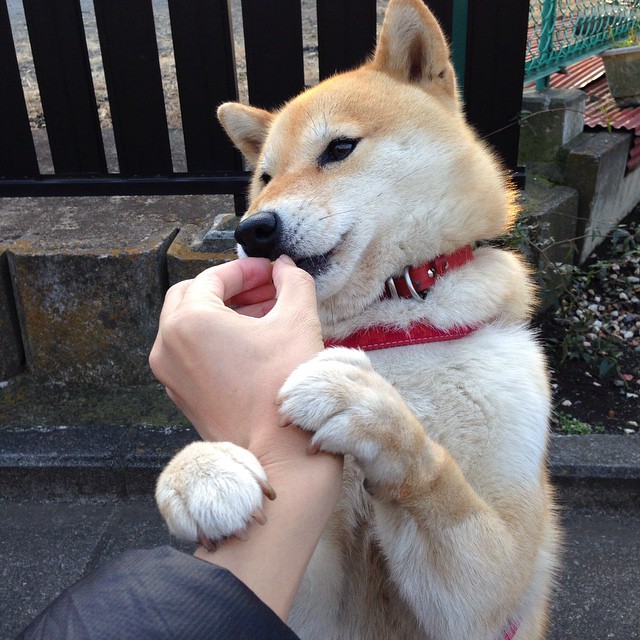 AYX SPORTS-“青春竞技”青少年篮球表演赛在南京激烈角逐冠军，2020年青少年篮球比赛