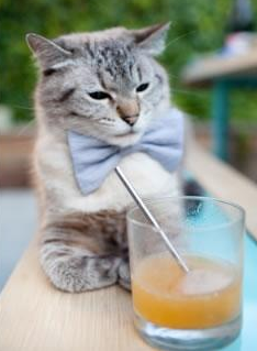 爱游戏官方-【新赛季新规则】科技裁判在比赛中的作用逐渐增强，科技比赛是什么意思